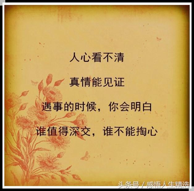 相处时总让步的人,不是因为傻,而是真心在意