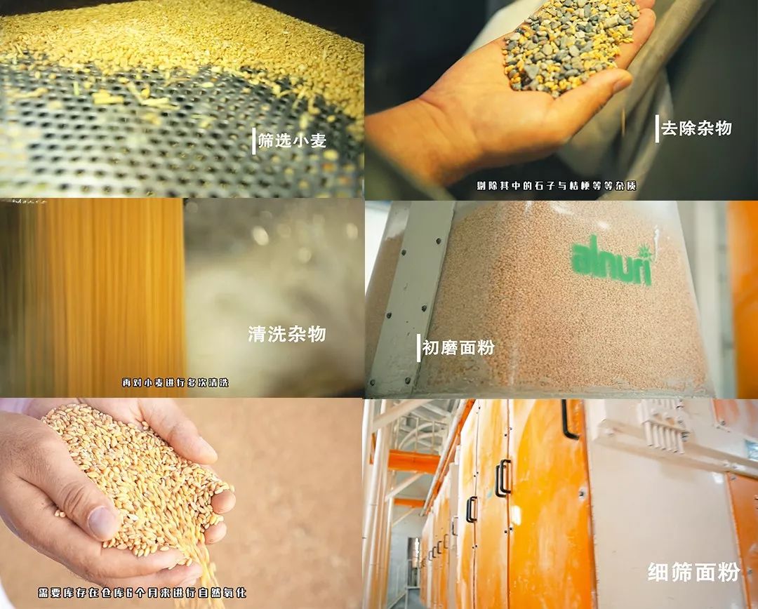 面粉竟然是这样做出来的!爱吃面食的,赶紧看看吧!