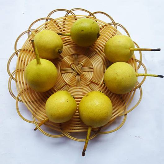 大兴安岭冬天的冻果三宝是什么鬼