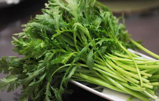 冬天来一把"皇帝菜",养血,降脂,调血压,还能预防老年痴呆_茼蒿