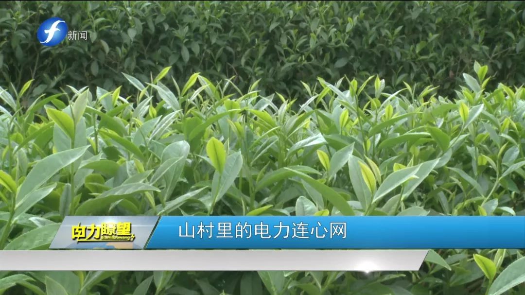 安溪供电公司大坪乡供电所 所长 廖志军