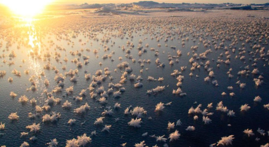 难得一见地球上十二种罕见的自然现象