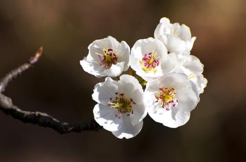 了他的石像白瑶听后,施法化出了一片水镜,镜中映出了百姓们的真实情况