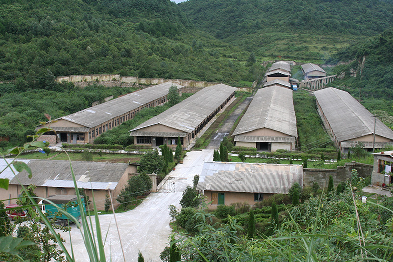 原创广西邱威禽苗孵化有限公司邱一倍董事长喜获爱心大使殊荣