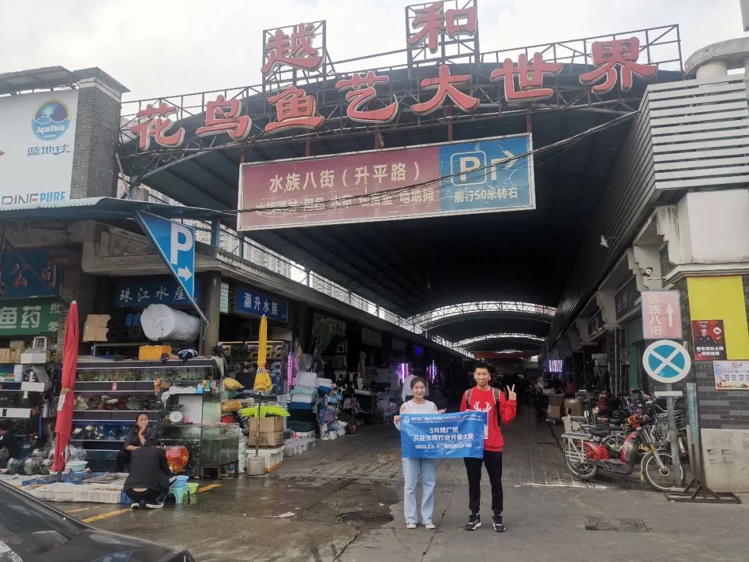 广州花地湾花鸟鱼虫批发市场是全球最大的水族市场,观赏鱼销售中心
