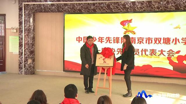 南京市双塘小学首届少年先锋队代表大会顺利举行(图11)