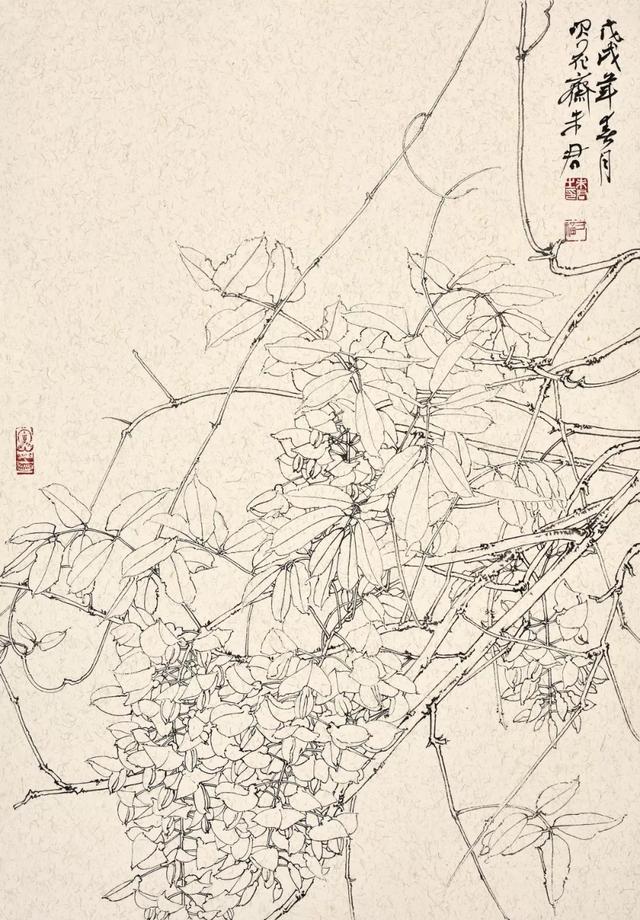 未君紫藤专号(下)|我曾画下一树最美的春天