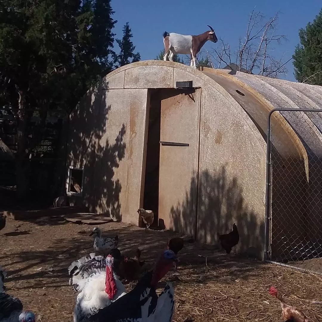 农场志丨农场里有小日子吗