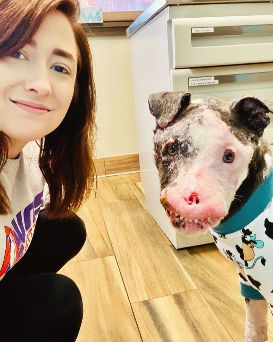 超恐怖流浪狗,头顶却有一颗桃心:外表再丑,也掩盖不了我对你的爱!