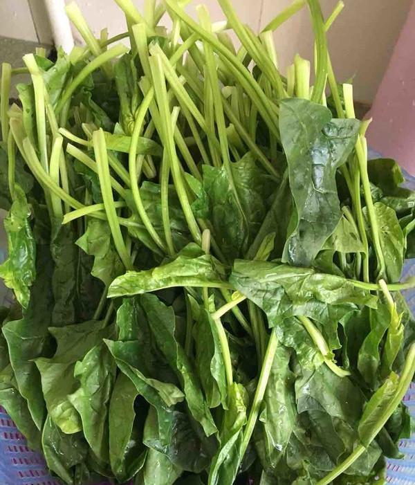 准备食材   菠菜适合很纯粹的清炒噢,不过要记得多加入蒜蓉,不然不香.