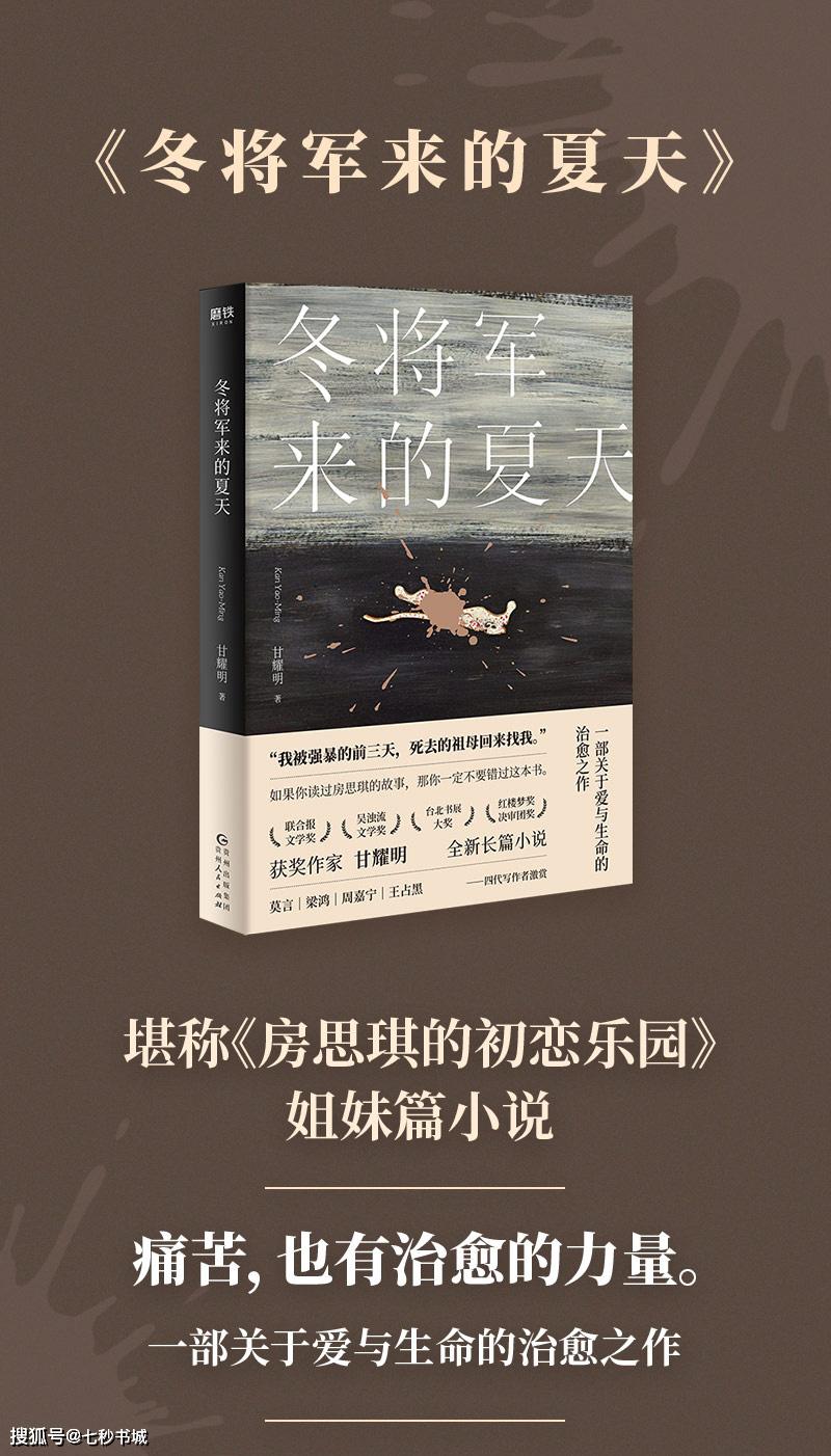 《冬将军来的夏天》作者:甘耀明 (一部关于爱与生命的治愈之作)