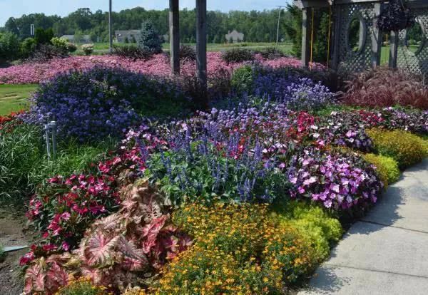 走访美国的花卉苗木园艺市场 庭院