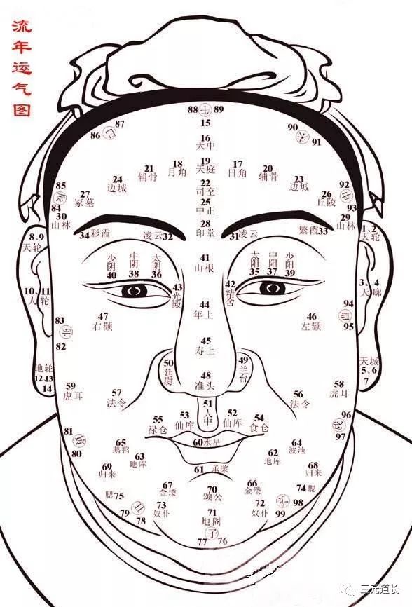 面相金甲位置图片