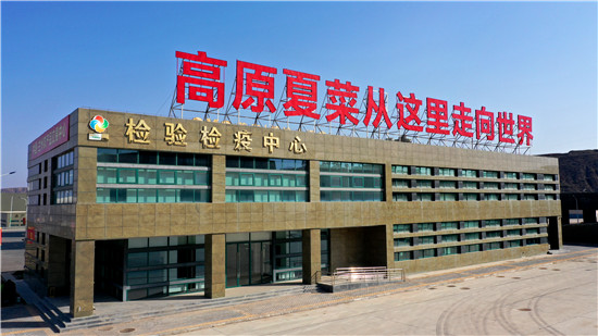 实地探访年货节场馆——兰州国际高原夏菜副食品采购中心