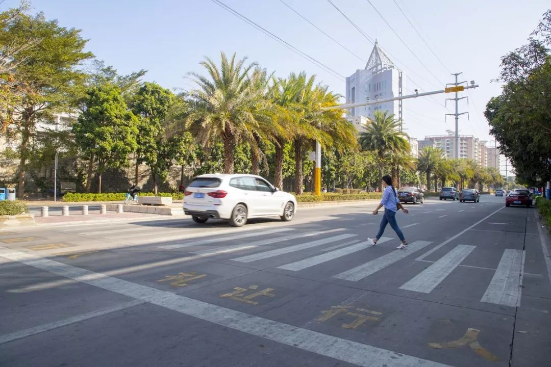 去阳江要注意不礼让行人开远光灯行人闯红灯将抓拍处罚