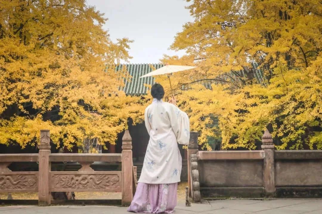 成都,没有女士优先!