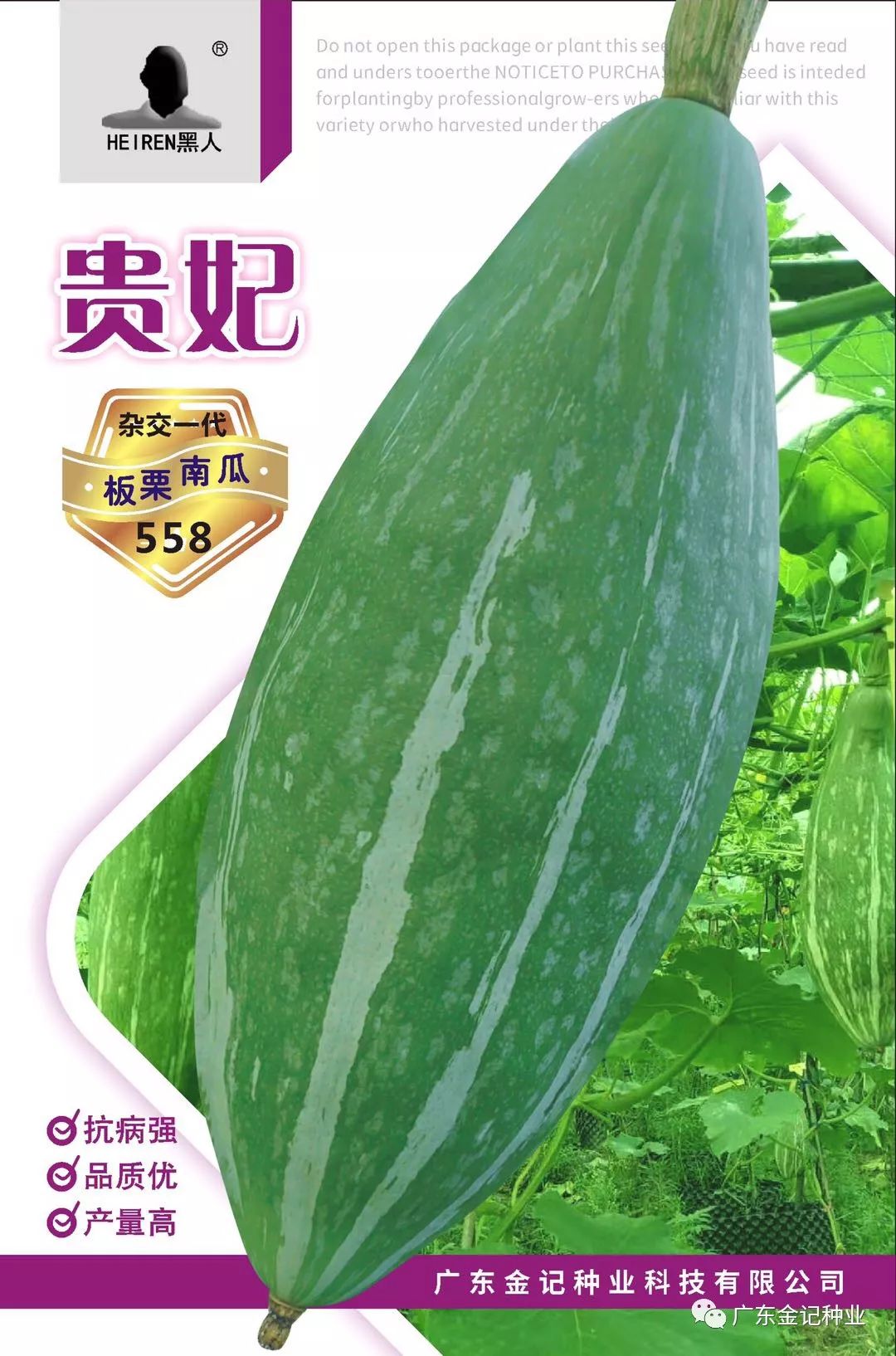 贵族南瓜板栗南瓜广东金记