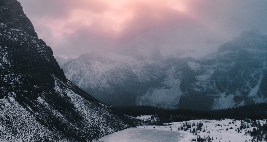 海尔美的格力方太赋能家电业,三星LG小米创维打响决战!-家电圈官网