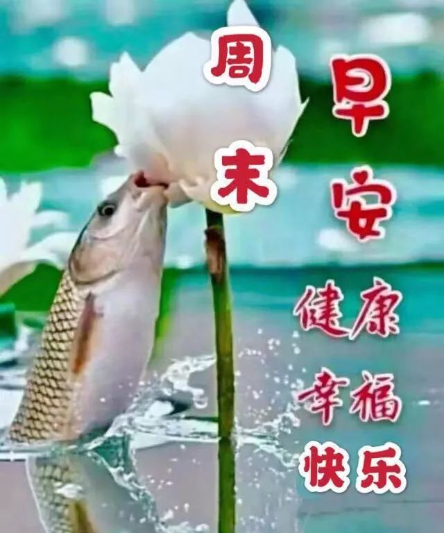 【周日祝福图片 周末早安问候语】