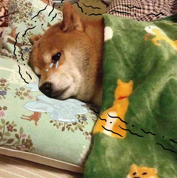 为了解决广大单身老爷的困扰,我决定!发起一个"滴滴暖被窝"活动!