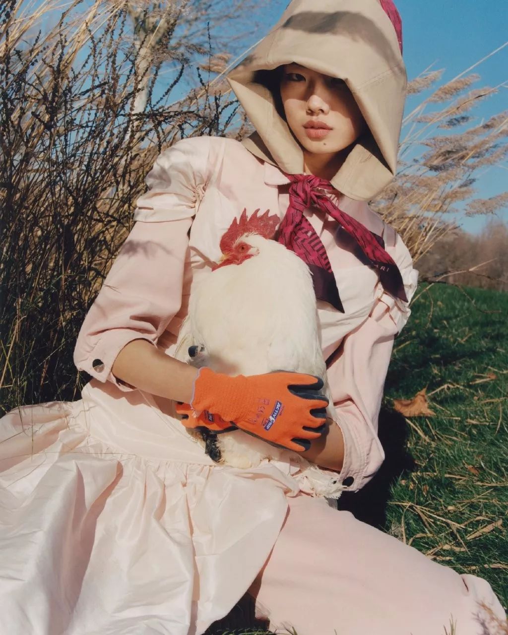 何穗登精彩ok封面 雎晓雯新广告