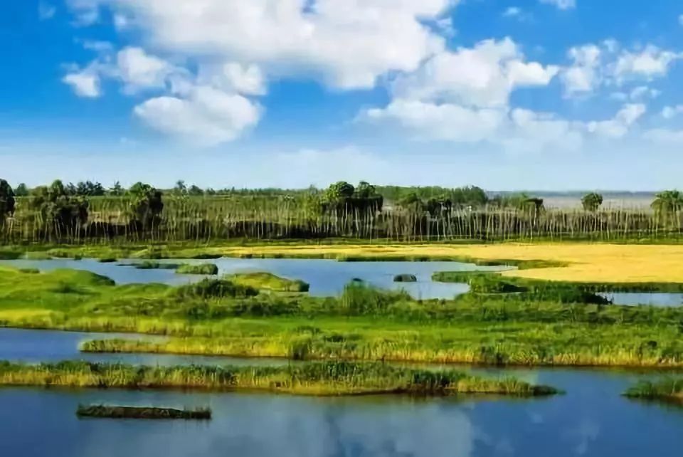 鹿邑惠济河国家湿地公园规划总面积468.