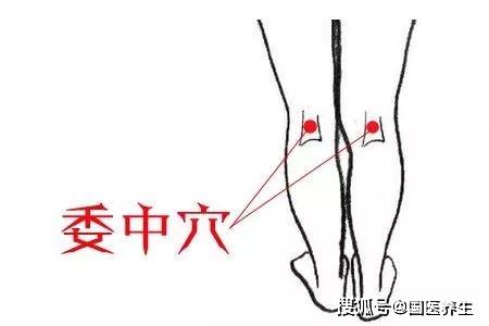 在膝窝的中点有个穴位叫委中穴,入膀胱经,而膀胱经是人体内最大的一个