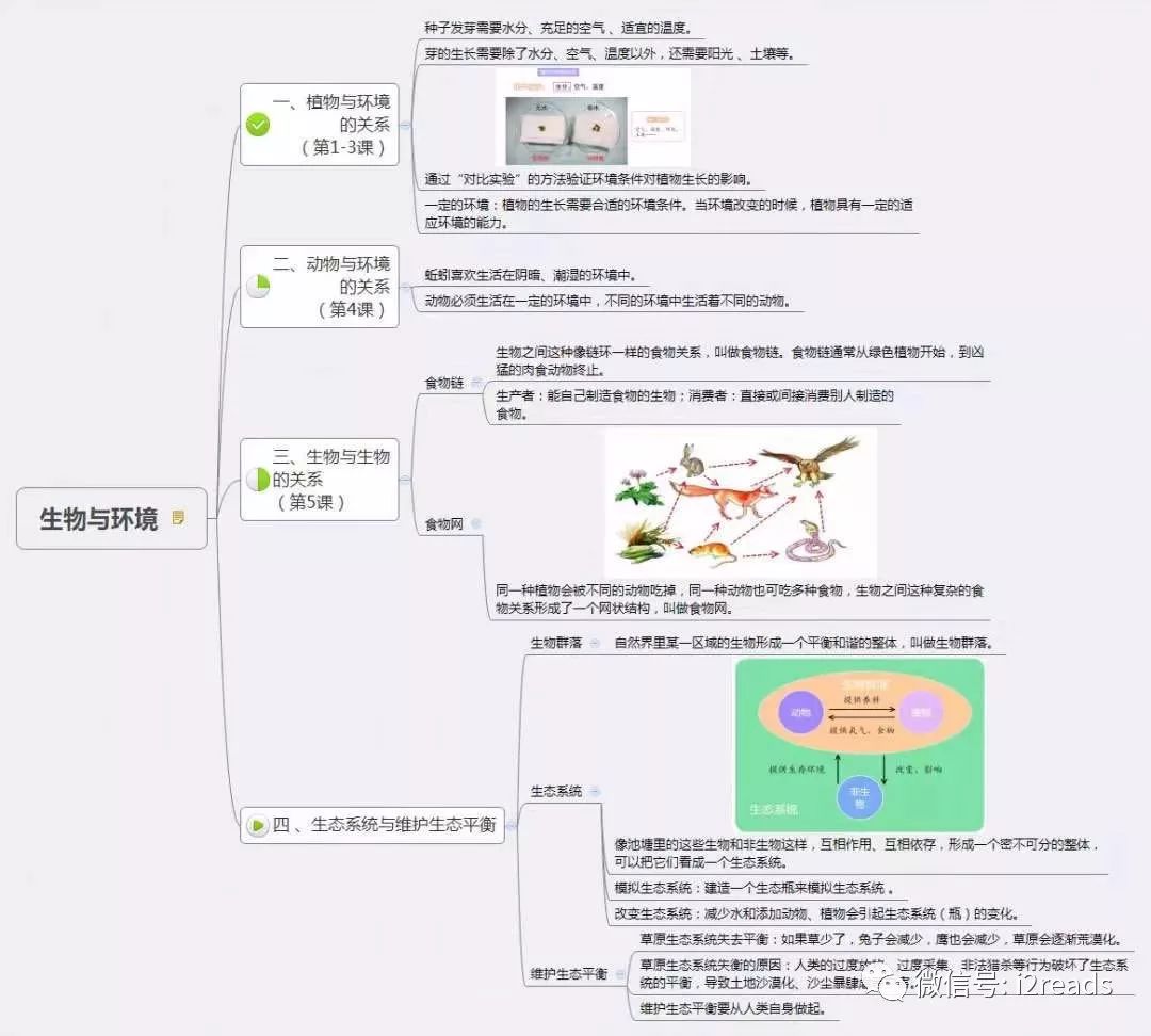 重磅14張思維導圖搞定36年級科學期末複習19科教版純乾貨可下載打印