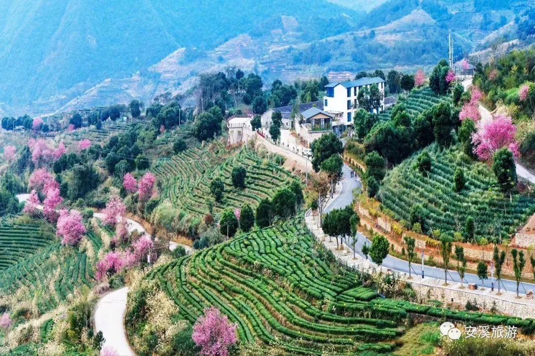 線路一:閬湖博物館——李光地故居——國心綠谷茶莊園