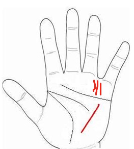 水星线与其他掌纹出自生命线上的水星线代表着健康,商业上的成功,以及