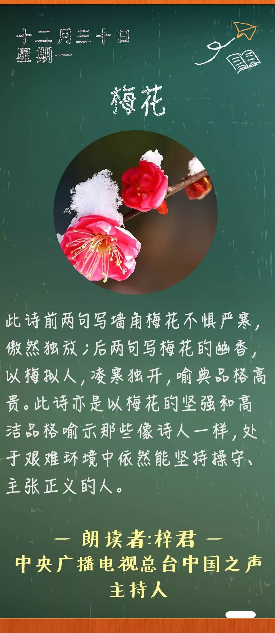 梅花丨那些年我们一起读过的课文