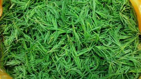 农村的天然美容菜,不仅能美容,还是天然的抗癌野菜_黄菜