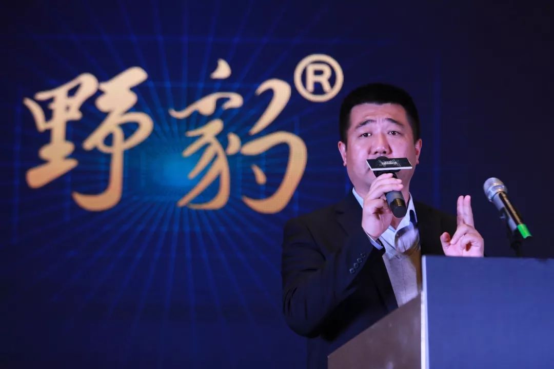 野豹 ceo 陈启富