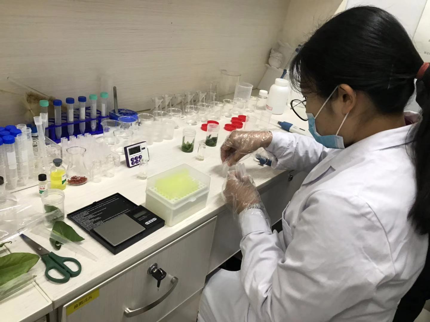 河北保定莲池区开展你点我检质检活动严把食品安全关