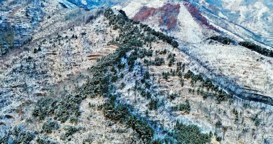 冬雪后的济南南部山区简直美呆了