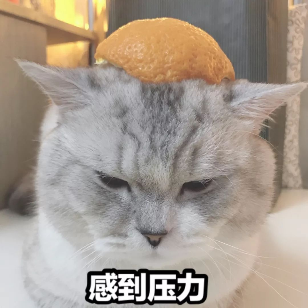 皓影breeze带你回顾朋友圈评论区斗图战场