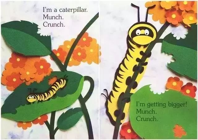 绘本故事iamacaterpillar我是毛毛虫