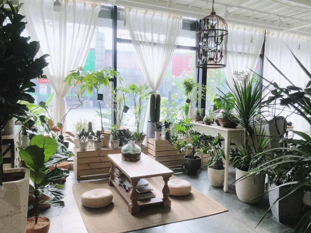 这份「合肥精品花店指南」,让你在寒冬也能寻觅出一片春天!