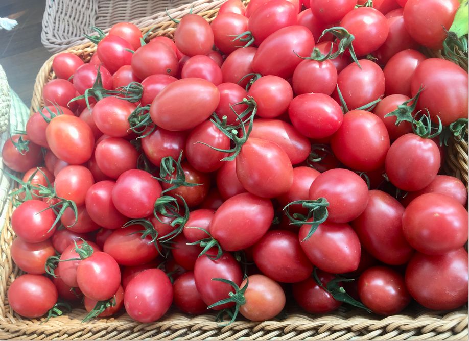 冬日水果供应不断!三水这4a农业公园的草莓,圣女果开摘啦_杨桃