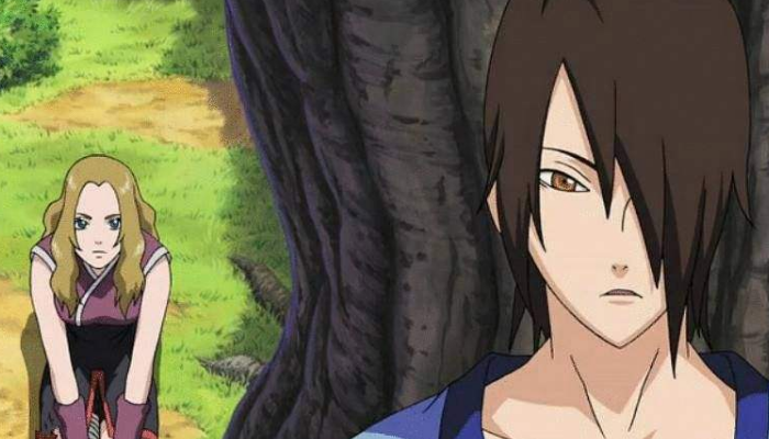 原创六尾人柱力羽高成为叛忍,晓组织为什么不招募他?原因有2点