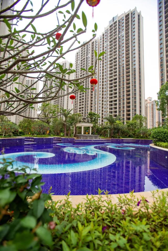 近万人参与约百组失去摇房资格泉州碧桂园天玺湾最新情况