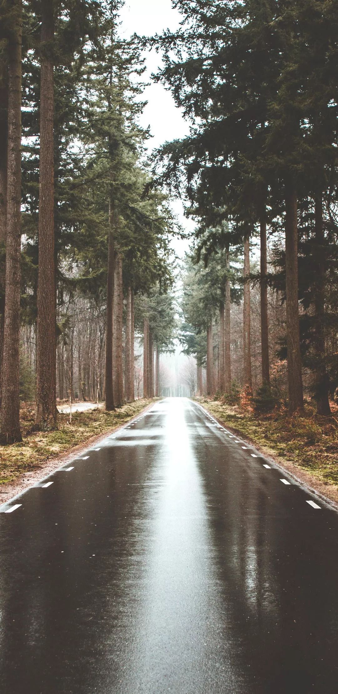 全面屏壁纸高清超好看唯美壁纸精选