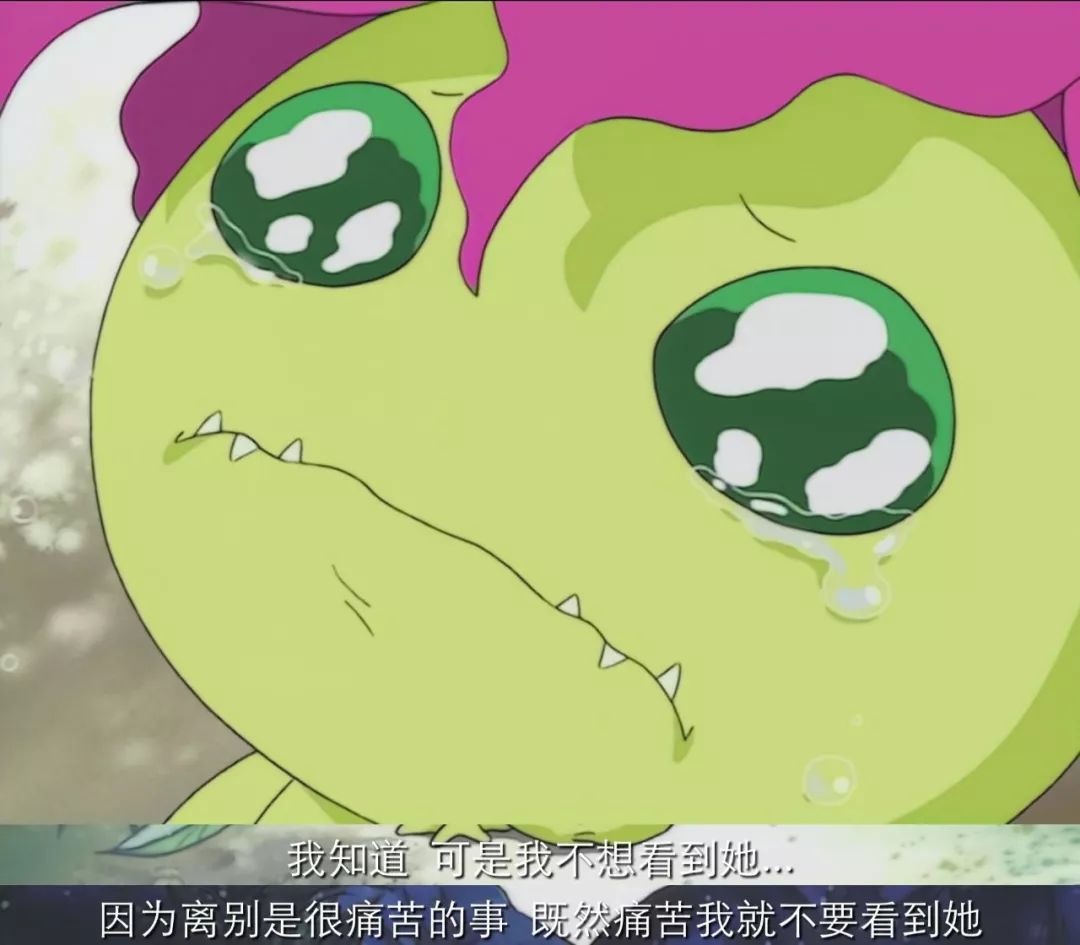 成户丈和哥玛兽 八神太一和亚古兽 当然也有逃避款的.