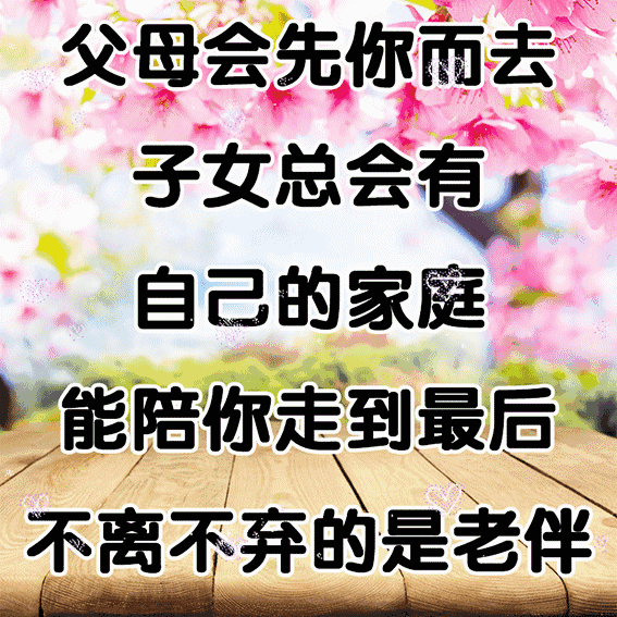 原来这才是老年夫妻的相处之道太精辟了实在是高