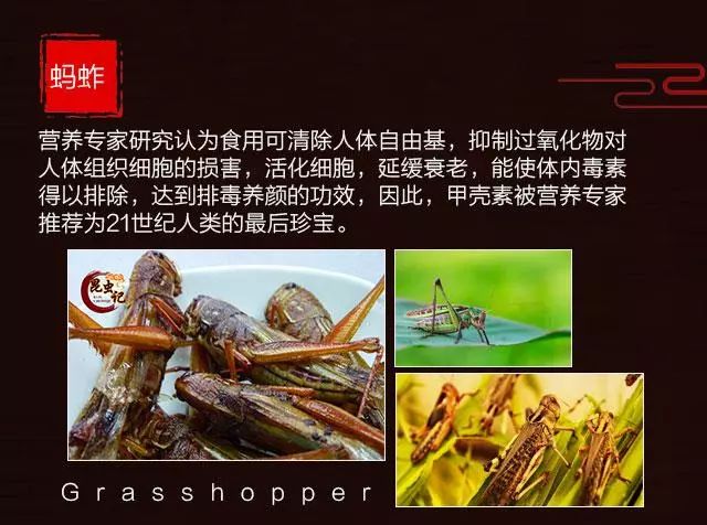 食用昆虫改变世界 王泽铺昆虫小镇让昆虫美食上餐桌