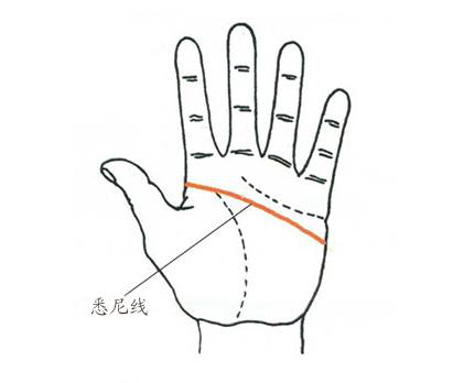 手相悉尼线有什么含义?