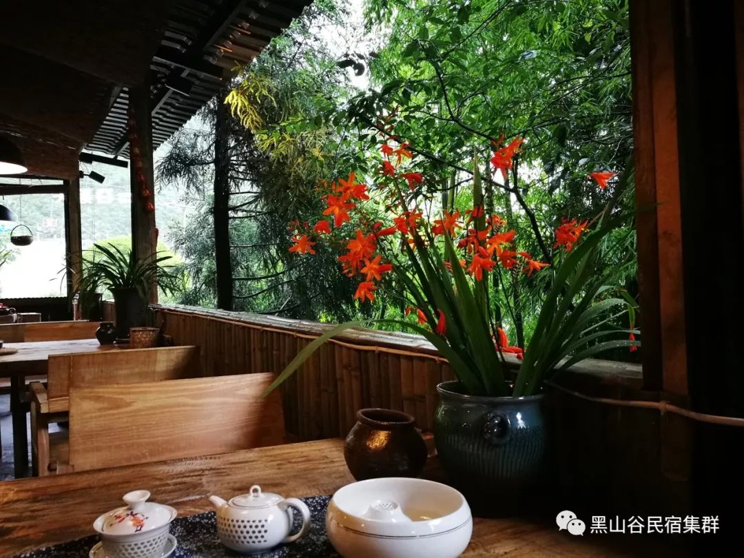 这是你应该了解的万盛黑山谷民宿集群