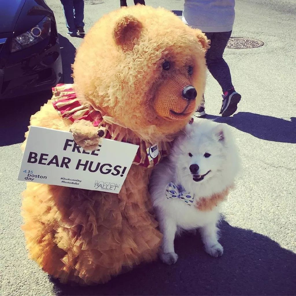 我是芭蕾熊请给我暖心的熊抱