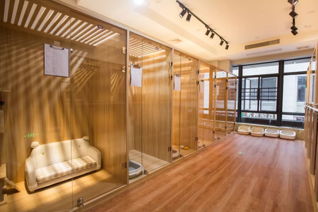 看这里!18.8元抢猫咪洗护,35元抢猫咪寄养!