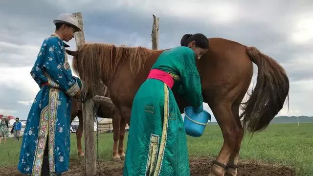 你知道蒙古族有哪些传统节日吗
